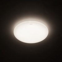 2. Philips CL200 LED Ceiling Light