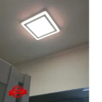 Ceiling Light 2 Color