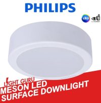 Philips MESON 17W Surface Mount Downlight