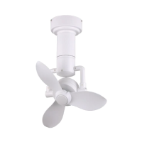 Acorn DC 360 WH Ceiling 01