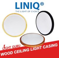 Liniq Ceiling Light