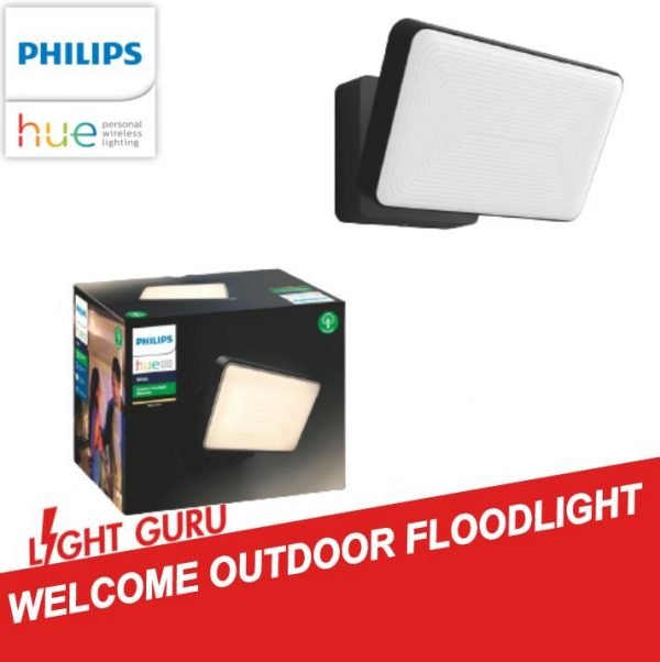 Hue Outdoor Floodlight light guru