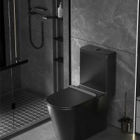 EACO Black Toilet Bowl | Water Closet | Installation Included