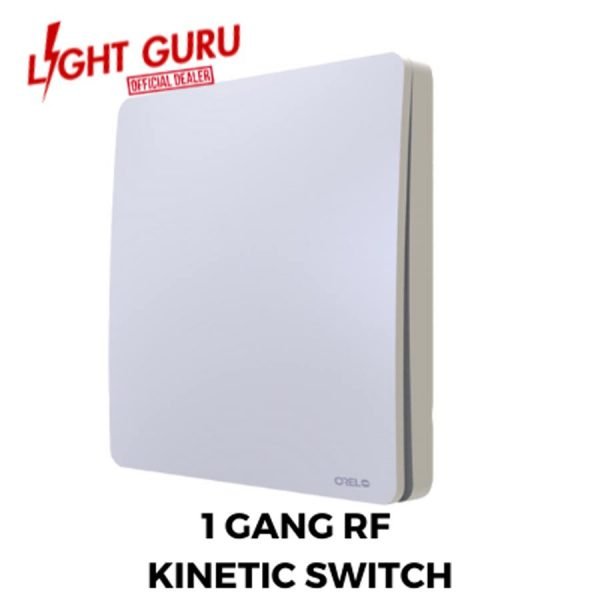 1 Gang Kinetic Switch