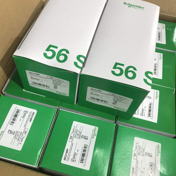 Schneider Switch IP66 13A and 15A