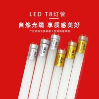 T8 Light Tube 2 3 4 Ft