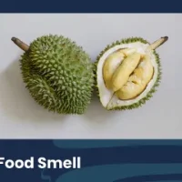 Remove Mold VOCs Formaldehyde - Air Clean Health Solutions - Image 2