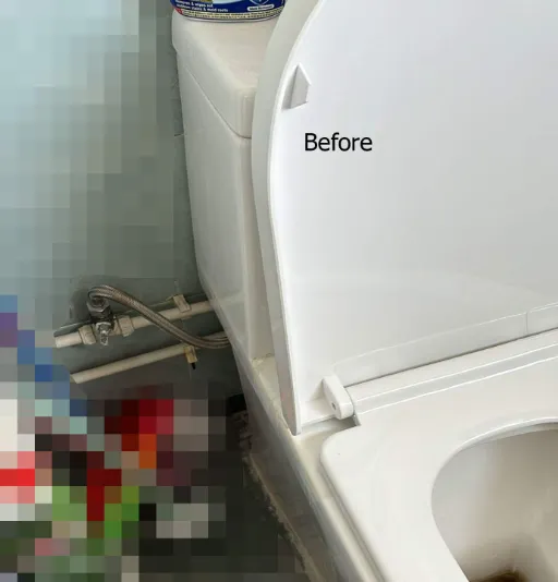 Toilet Bowl Seat Cover with Nozzle Wash Installation Before Seat